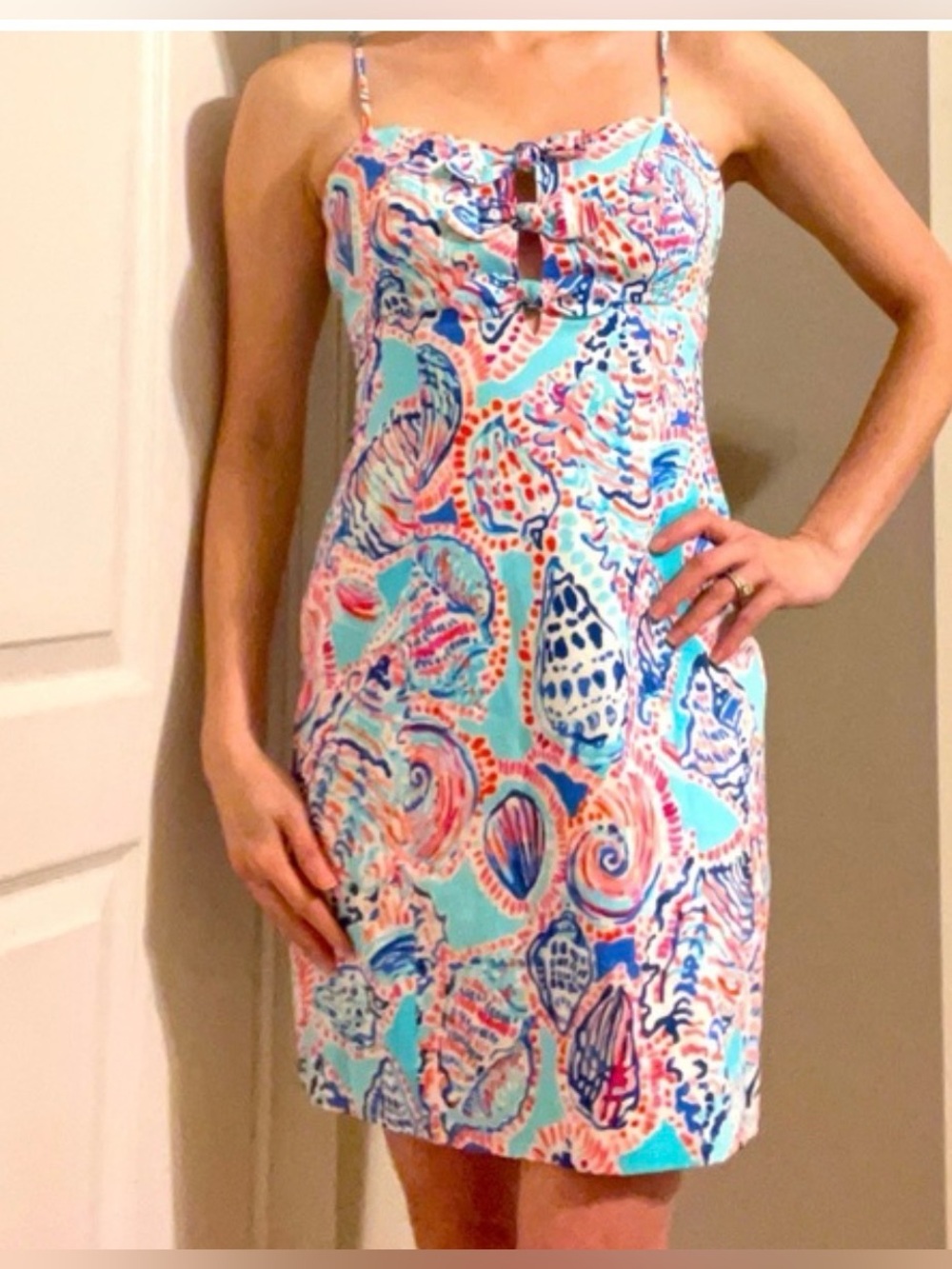 Lilly Pulitzer Petra Shell Me About It Dress Size 0
